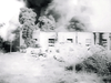 A black and white image from "Then There Were Three (1961) DVD" shows a building engulfed in smoke and flames amid trees—evoking scenes of wartime chaos from vintage classic movies.