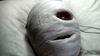 A person lies on a bed with their head wrapped in white bandages, one wide-open eye and a parted mouth exposed—a haunting scene reminiscent of the cult classic Dead and Buried (1981) DVD.