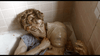 A curly-haired person sits in a tiled bathtub, holding another whose head is covered in plastic, both distressed amid dirt and mess—evoking the tense, unsettling horror-romance vibe of Bones and All (2022) DVD.