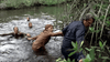 A group wades through a muddy river surrounded by greenery, evoking scenes from Empire of the Ants (1977) DVD as one person grips branches for support while others struggle to follow behind.