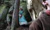 A woman in a blue Victorian-style dress with a pink bow stands among mossy rocks in a forest, resembling a scene from "The Ugly Stepsister" DVD, while someone in brown clothing appears blurred in the foreground.