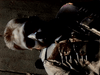 A person with white and black face paint lies on the ground in armor, under dramatic lighting—evoking scenes from a classic war film like Fear and Desire (1952).