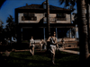 Several people walk on the lawn of a large wooden house under a clear sky, with palm trees and shadows—reminiscent of scenes from classic war films like "Fear and Desire (1952).
