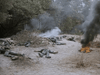 Experience the raw intensity of Vietnam War action with Hell on the Battleground (1988) DVD—soldiers lie motionless amid smoky forest fires, making this a must-have for fans of rare war movies on DVD.