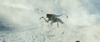 A large, menacing creature with multiple limbs and horns stands in a snowy, foggy landscape—resembling the alien threats from The Tomorrow War (2021) DVD starring Chris Pratt, partially obscured by swirling snow and mist.