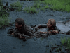 Two people struggle to escape thick swamp mud, covered up to their heads and arms amid nearby grass—a scene recalling the bleak imagery of Come and See (1995) DVD.