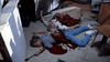 Two people lie face down on a blood-soaked kitchen floor, appearing lifeless. With a spoon in hand and chaos around them, the scene evokes the creature horror of "Razortooth (2006) DVD.