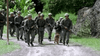A group of soldiers in green uniforms and helmets, armed with rifles, walk along a dirt path with a dog leading them—evoking classic war scenes. Experience the drama with the "Rain (2006) DVD.