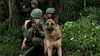 A German Shepherd in a harness stands alert with four soldiers in green uniforms crouched nearby in a dense jungle, capturing the intense war drama atmosphere of Rain (2006) DVD.