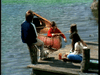 Three friends gather by a wooden dock at the lake. One sits in a red canoe, while the others relax nearby and chat about the "Father Knows Best Reunion (1977) DVD," enjoying a peaceful afternoon by the calm water.