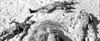 Three soldiers lie motionless on sandy ground, forming a rough triangle. Two have arms outstretched, one clutching a rifle. Their faces are visible, and military gear is scattered nearby. The black and white image evokes the stark realism of classic war films such as *Bitter Victory (1957)* on DVD.