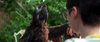 A dark-feathered parrot with one wing raised faces a person with short hair and glasses, outdoors amid green foliage, creating a moment as vivid and captivating as watching Tuesday (2023) on DVD.