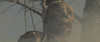 A decayed, mummified figure hangs from a tree in a desolate, smoky outdoor setting, with bare branches and a grayish sky in the background—capturing the haunting neo-western crime thriller atmosphere featured in the Kill or Be Killed (2015) DVD.