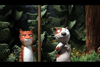 Two animated animals—a skeptical-looking orange cat and a nervous brown-and-white dog—stand in a forest. The cat holds a stick upright while trees and greenery fill the background, evoking the whimsical charm of Room on the Broom (2012) DVD, an animated film perfect for family movie nights.