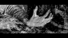 A close-up of a hand reaching out of swirling, splashing water, with droplets and waves surrounding the arm in a dramatic black and white scene—reminiscent of iconic imagery from “The World, The Flesh and the Devil” DVD (1959).