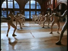 Inside a spacious gymnasium with wooden floors and tall arched windows, pairs of people in white fencing gear practice together, capturing the spirited atmosphere found in classic films like “By The Sword” (1991) on DVD, where the art of fencing truly comes to life.