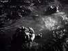 Black and white image from The Cruel Sea (1953) DVD showing men in life rafts in dark, choppy water, capturing a tense World War II sea drama.