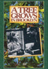 Movie Buffs Forever DVD A Tree Grows in Brooklyn DVD (1945)