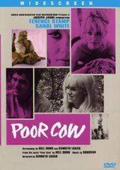 Poor Cow DVD (1967)