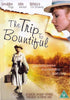 Movie Buffs Forever DVD The Trip to Bountiful DVD (1985)