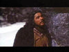 White Buffalo DVD (1977) DVD Movie Buffs Forever 