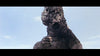 Godzilla vs Mechagodzilla DVD (1974) DVD Movie Buffs Forever 